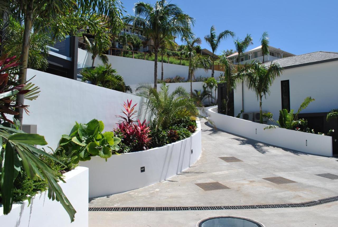 Reve De Saint Barth - Vue Mer - Piscine Chauffee & Jacuzzi Gustavia Exteriér fotografie